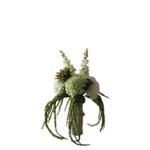 Botané Enchanted Matcha Bouquet Groen