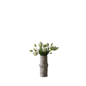 Botané Tulp Gemengd Boeket Wit
