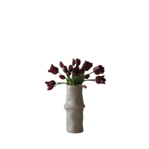 Botané Tulp Gemengd Paars