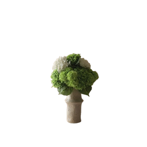 Botané Shades of Green Bouquet Groen