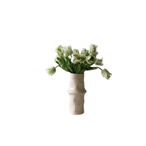 Botané Kleine Papegaai Tulpenboeket Wit