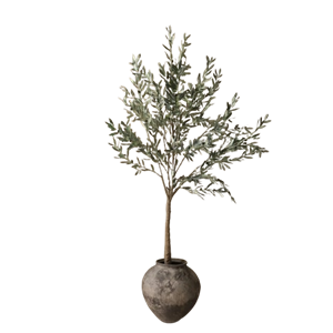 Botané Olijfhout Groen