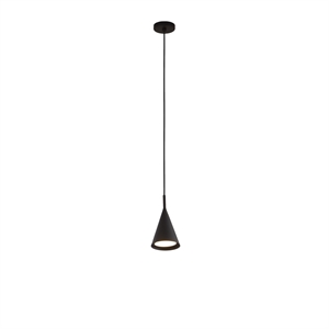TOOY Gordon 561.21 Hanglamp Mat Zwart