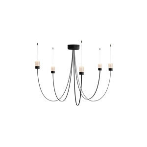 Moooi Gravity 5 Hanglamp Zwart