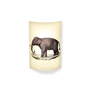 MagicoClaudio Moments Wandlamp Olifant