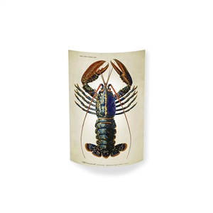 MagicoClaudio Moments Wandlamp Hummer