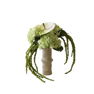 Botané Dewdrop Symphony Bouquet Groen/ Wit
