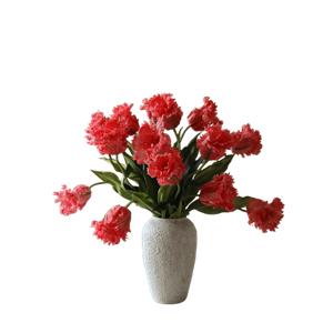 Botané Papegaai Tulpenboeket Rood